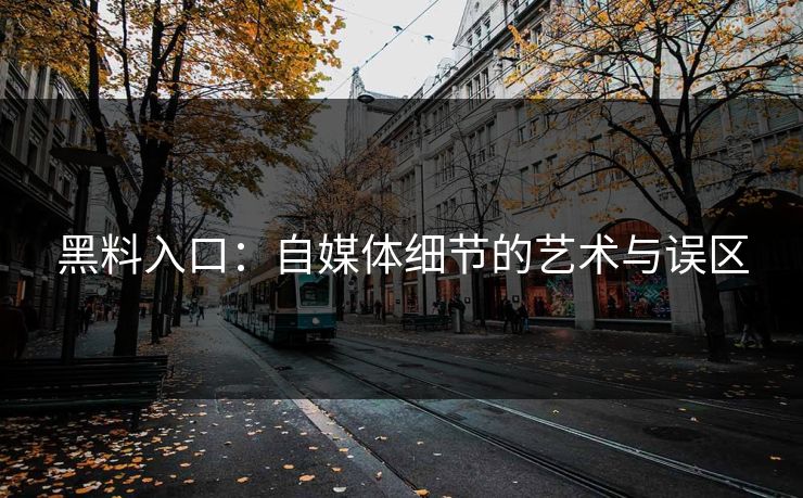 黑料入口：自媒体细节的艺术与误区  第1张