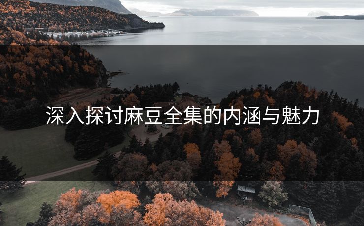 深入探讨麻豆全集的内涵与魅力 第1张 深入探讨麻豆全集的内涵与魅力 第1张