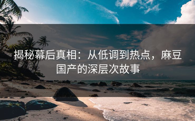 揭秘幕后真相：从低调到热点，麻豆国产的深层次故事  第1张