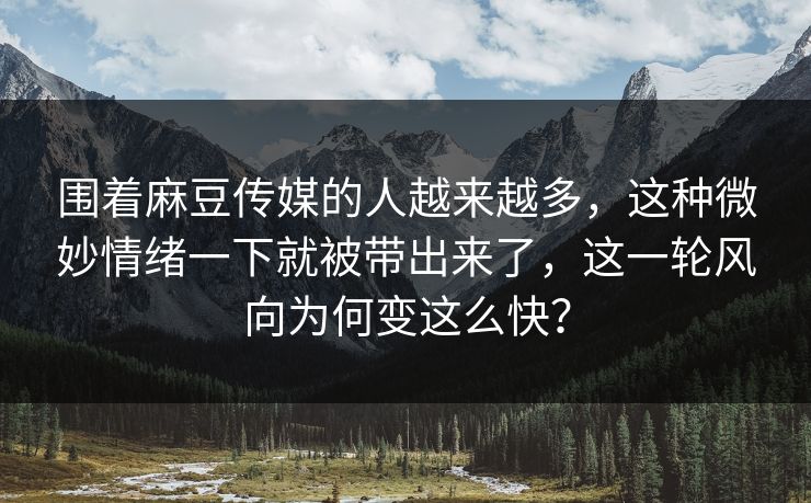 围着麻豆传媒的人越来越多，这种微妙情绪一下就被带出来了，这一轮风向为何变这么快？  第1张