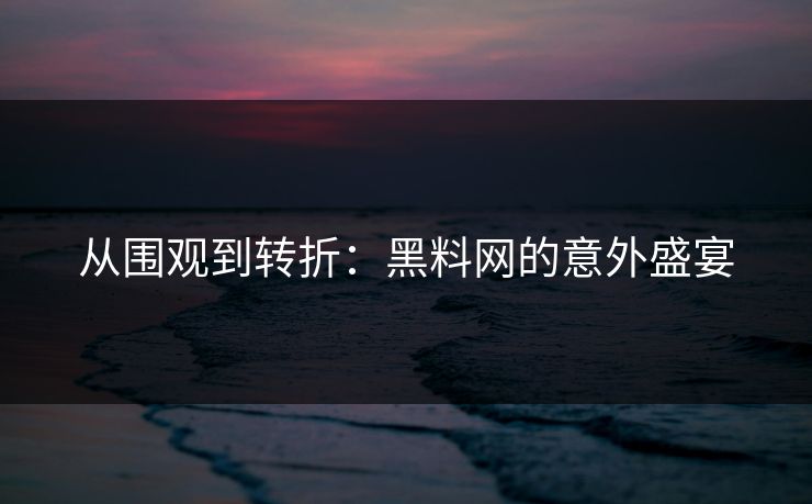 从围观到转折：黑料网的意外盛宴  第1张
