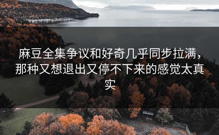 麻豆全集争议和好奇几乎同步拉满，那种又想退出又停不下来的感觉太真实  第1张