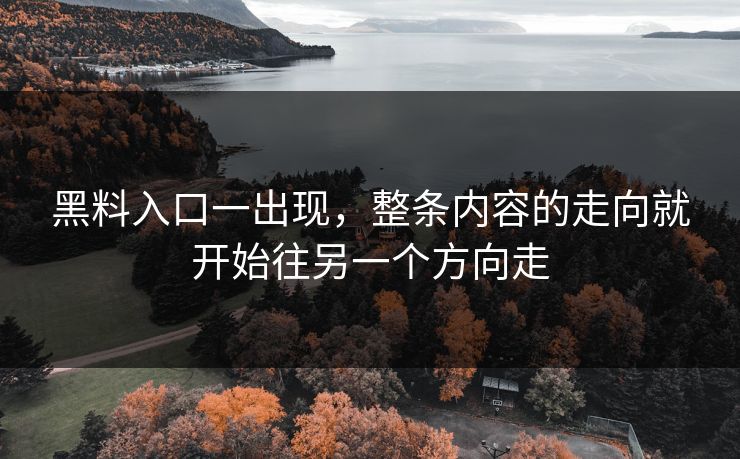 黑料入口一出现,整条内容的走向就开始往另一个方向走 第1张 黑料入口一出现,整条内容的走向就开始往另一个方向走 第1张