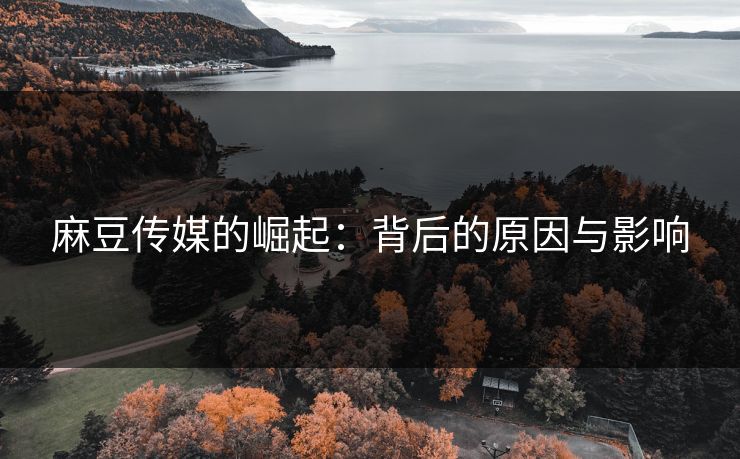 麻豆传媒的崛起:背后的原因与影响 第1张 麻豆传媒的崛起:背后的原因与影响 第1张