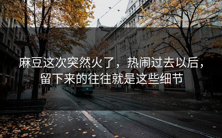 麻豆这次突然火了，热闹过去以后，留下来的往往就是这些细节  第1张