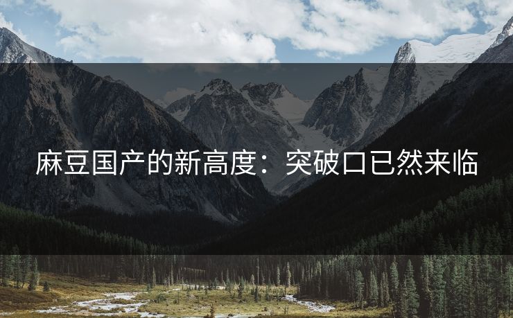 麻豆国产的新高度：突破口已然来临  第1张